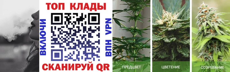 Хочу наркоту Сорочинск Марихуана КОКАИН ГАШ Псилоцибиновые грибы МЕФ