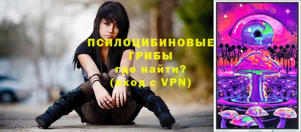 спиды Абаза
