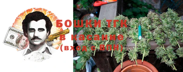 сатива Абдулино