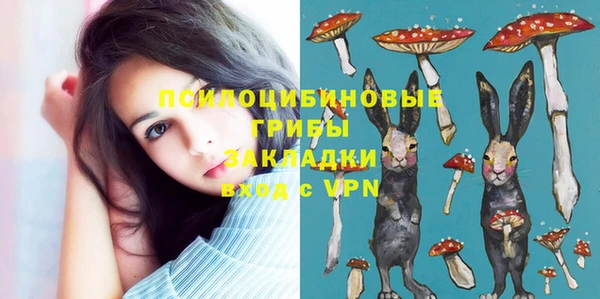 прущие крисы Алексеевка