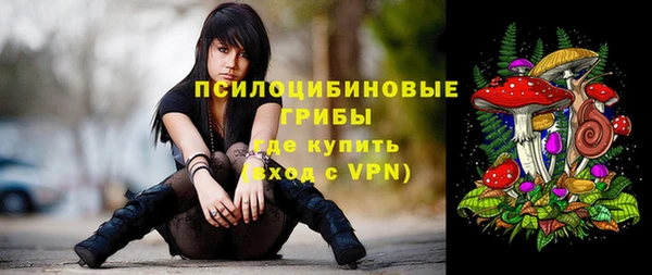 сатива Абдулино