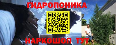 крисы Обнинск