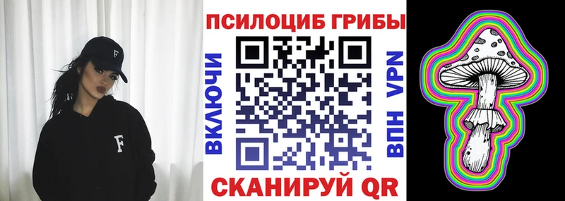 Галлюциногенные грибы Psilocybe  закладки  ссылка на мегу   Сорочинск 